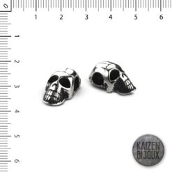 Alternative view of Calavera grande patinada
