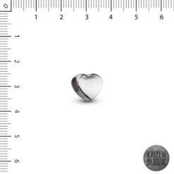 Pasante Corazon