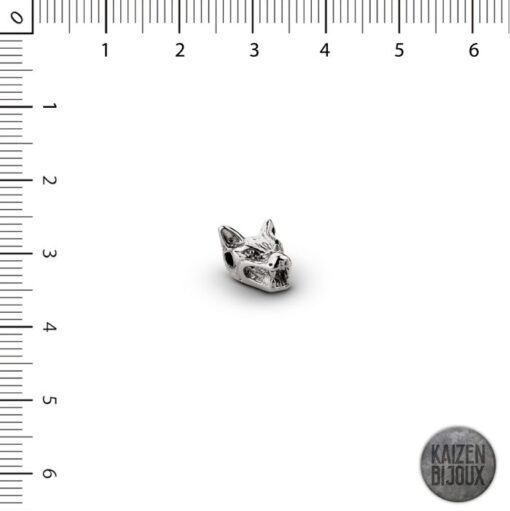 Pasante Cabeza de Lobo