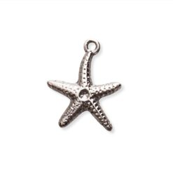 Estrella de mar de 16mm