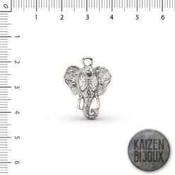 Cabeza de Elefante