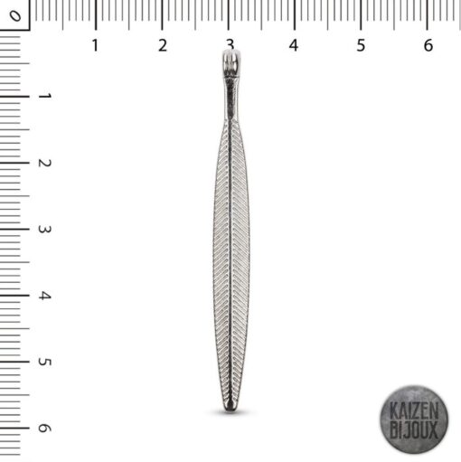 Pluma pasante
