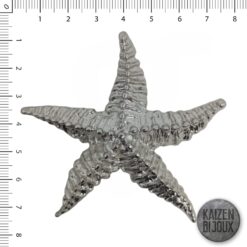 Estrella de Mar Rugosa Gigante