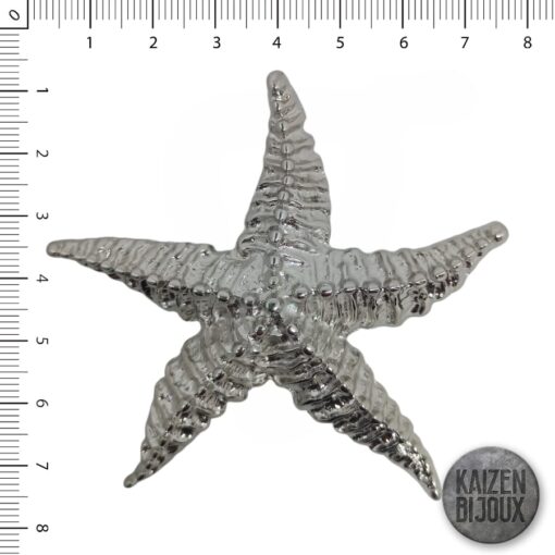Estrella de Mar Rugosa Gigante
