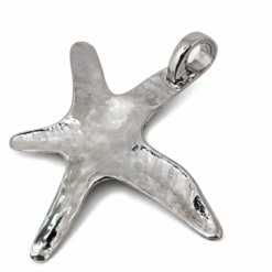 Alternative view of Estrella de Mar martillada Gigante