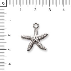 Alternative view of Estrella de mar con punto