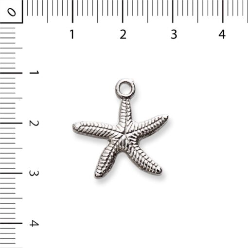 Estrella de mar con punto - Image 2