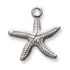 Estrella de mar con punto