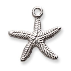 Estrella de mar con punto