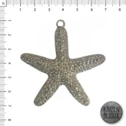 Estrella de Mar Rugosa