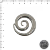 Caracol Liso sin argolla