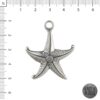 Dije Estrella de Mar curvo