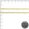 Bicono Cristal Champagne 4mm