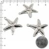 Dije Estrella de Mar