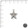 Dije Estrella Rayada