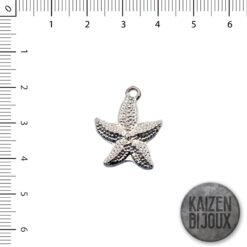 Estrella de mar punta chica