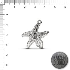 Estrella de Mar con centro