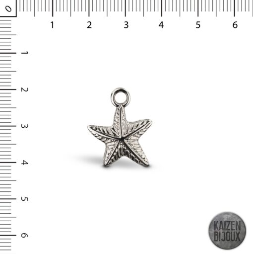 Estrella de Mar chica
