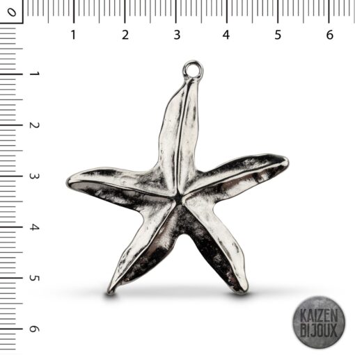 Estrella Mar grande