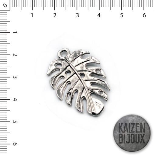 Hoja Monstera chica