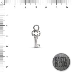 Llave mini