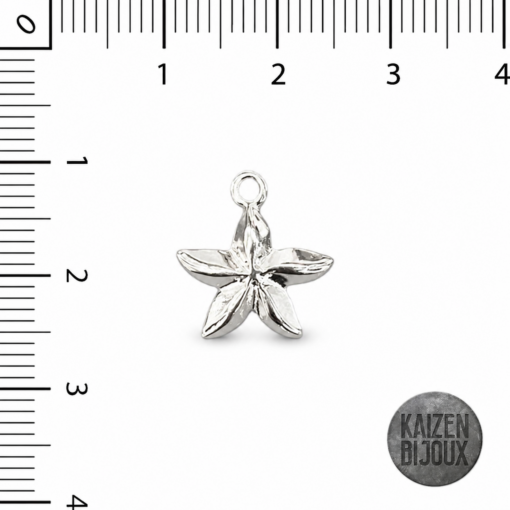 Dije Estrella de Mar mini